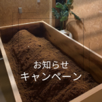お知らせ キャンペーン salon N REVI＆酵素風呂|千葉県市原市八幡宿|陶肌ハーブトリートメント ハーブピーリング|ヒノキ